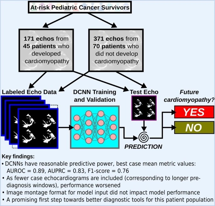 From 10.1186/s40959-024-00268-4: consort diagram, echo examples, DCNN schematic, and key findings
