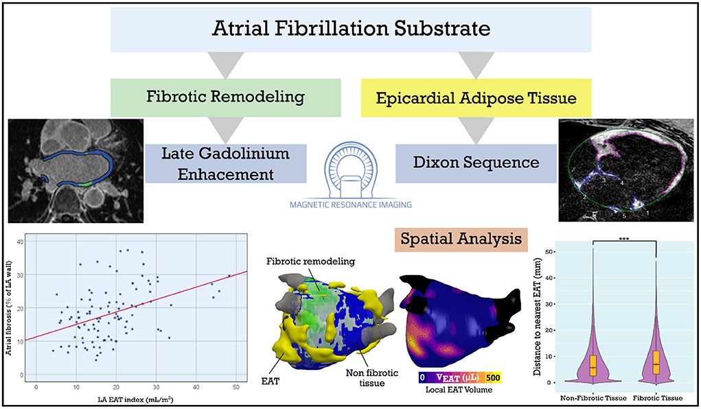 Central Illustration from Front Cardiovasc Med paper