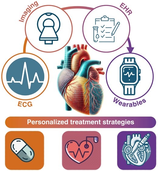 Personalized treatment strategies for arrhythmia care require the integration of various data sources and technologies such as structural information from MRI and CT, electrical information from ECGs, EHR data (e.g. medical history, test results, and medication use), and data from such as smartwatches containing real-time physiological parameters.