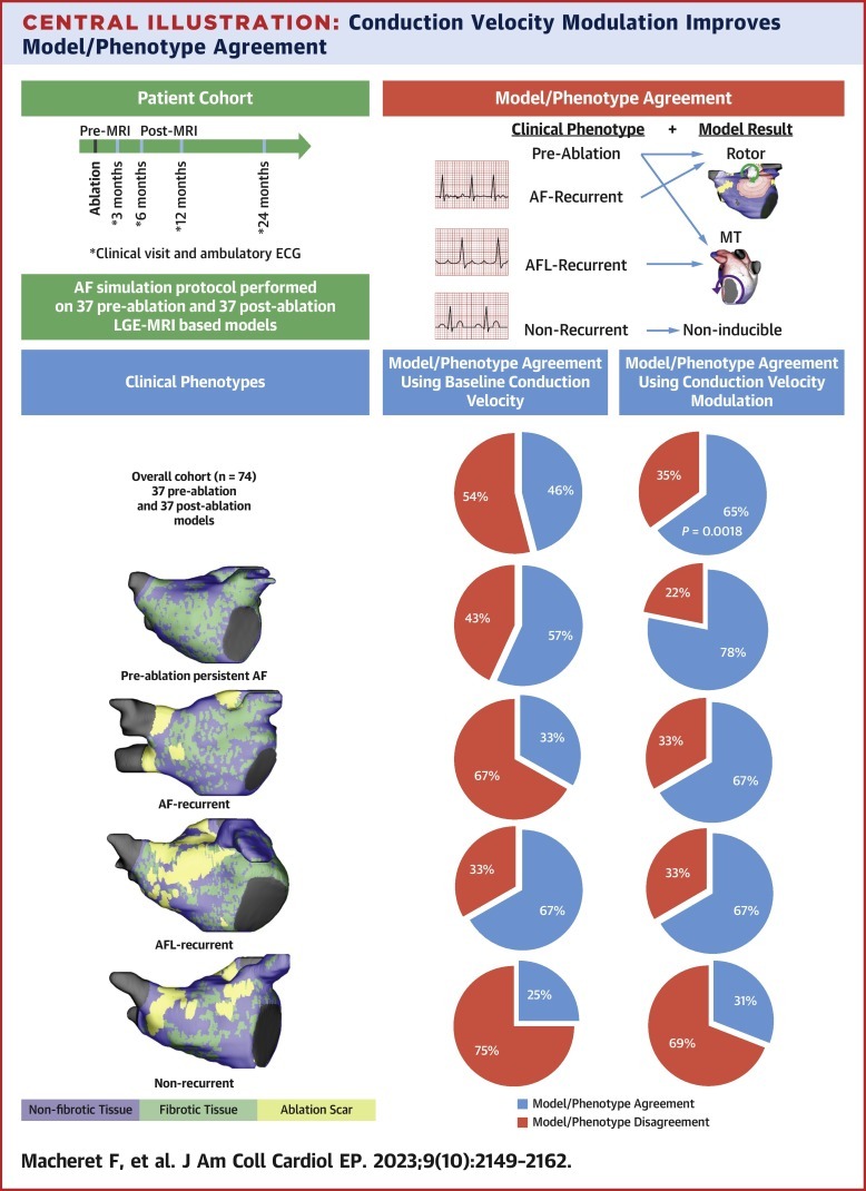 Central Illustration from Macheret, Bifulco, et al. (2023): Conduction velocity modulation improves model/phenotype agreement